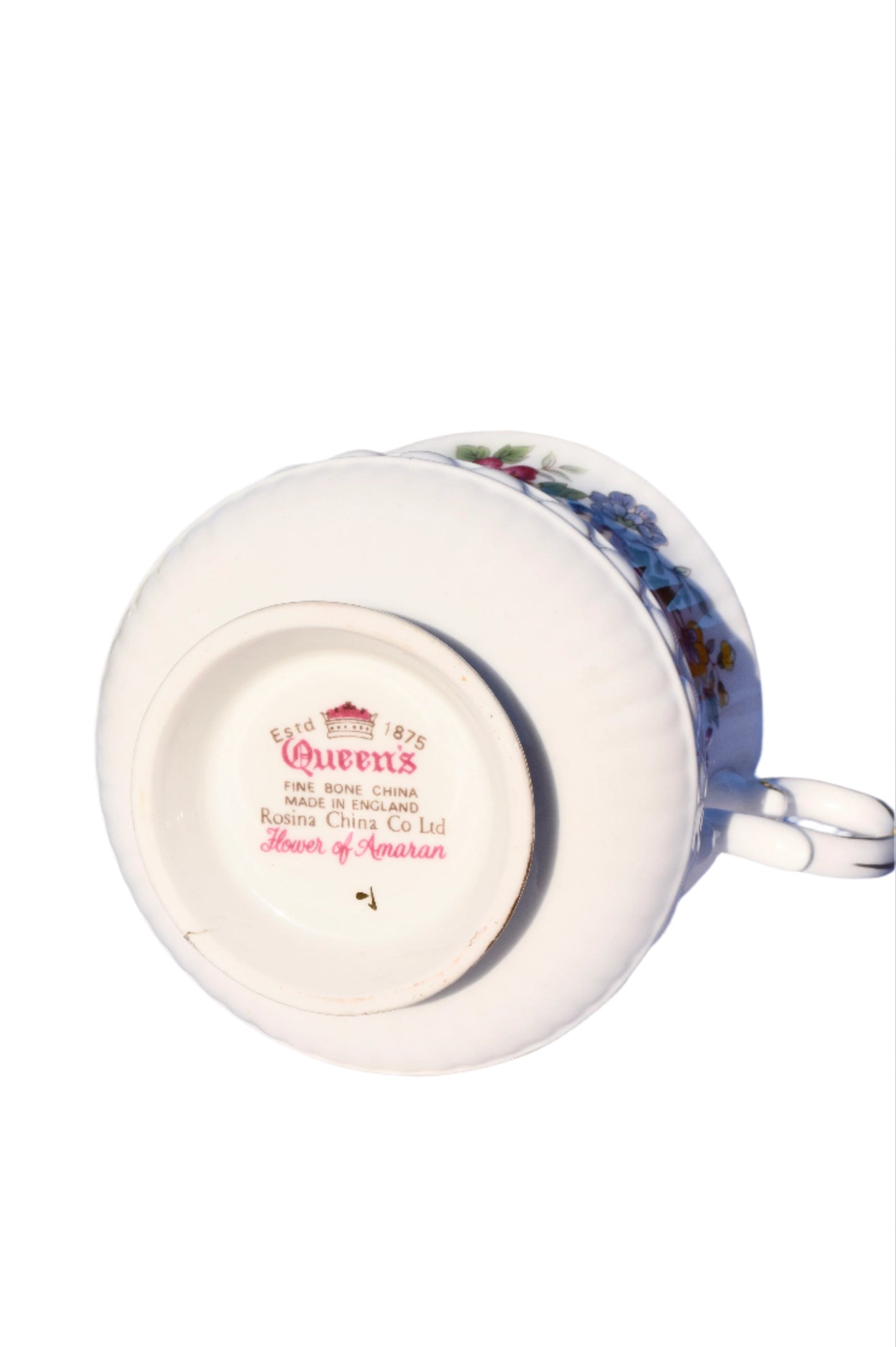 Queen's Rosina "Flower of Amaran" Teacup & Saucer Set