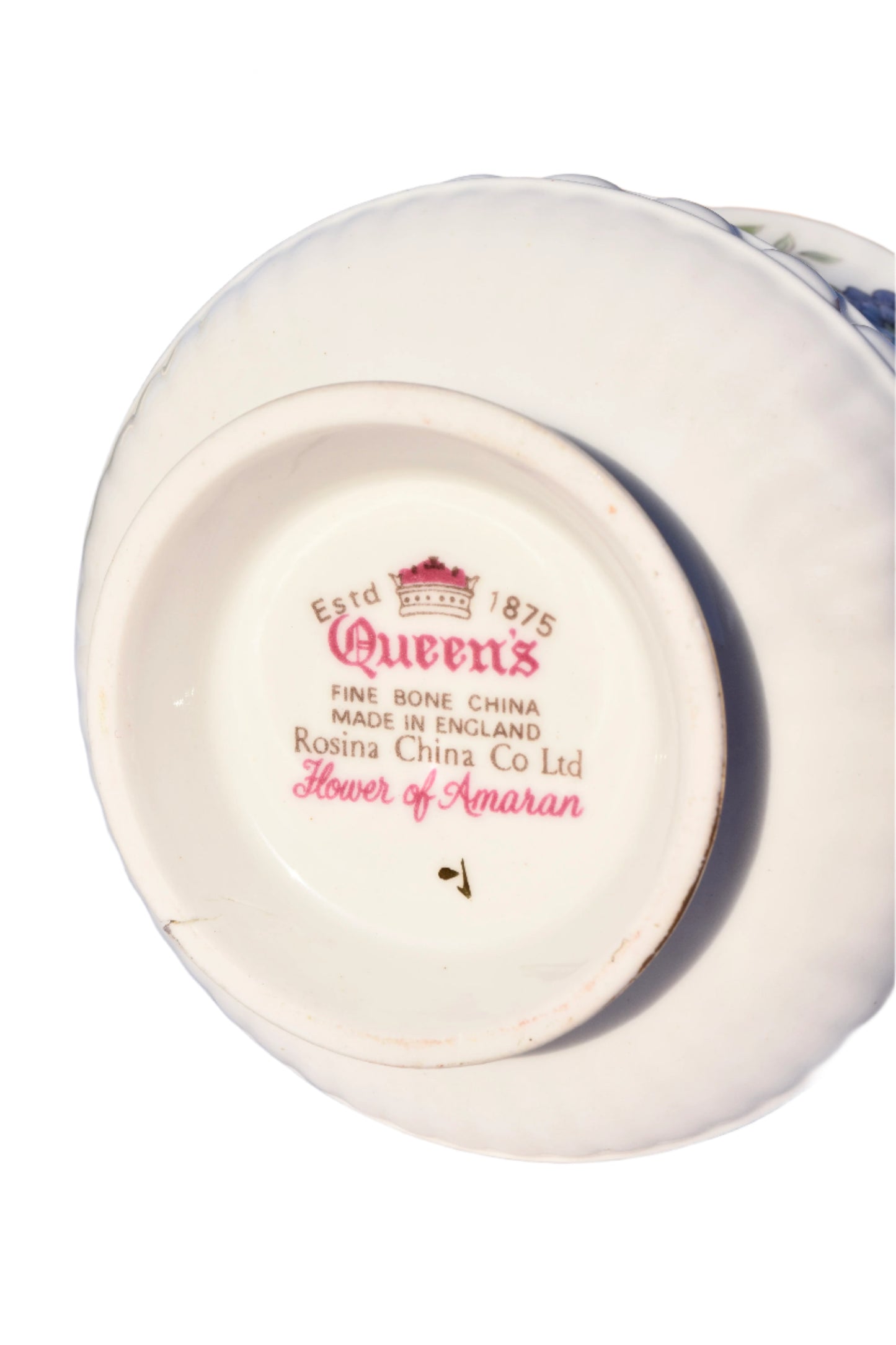 Queen's Rosina "Flower of Amaran" Teacup & Saucer Set