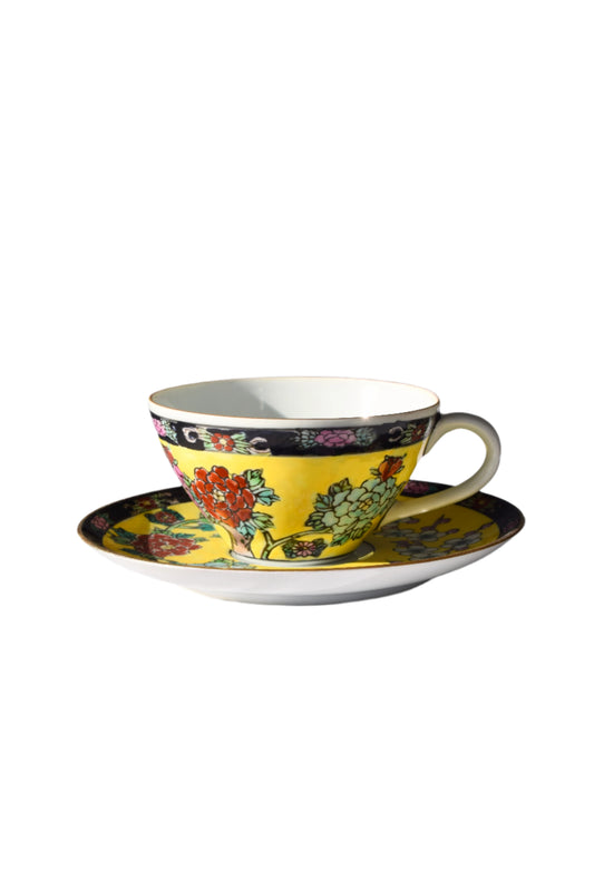 Japanese Imari Teacup and Saucer Set
